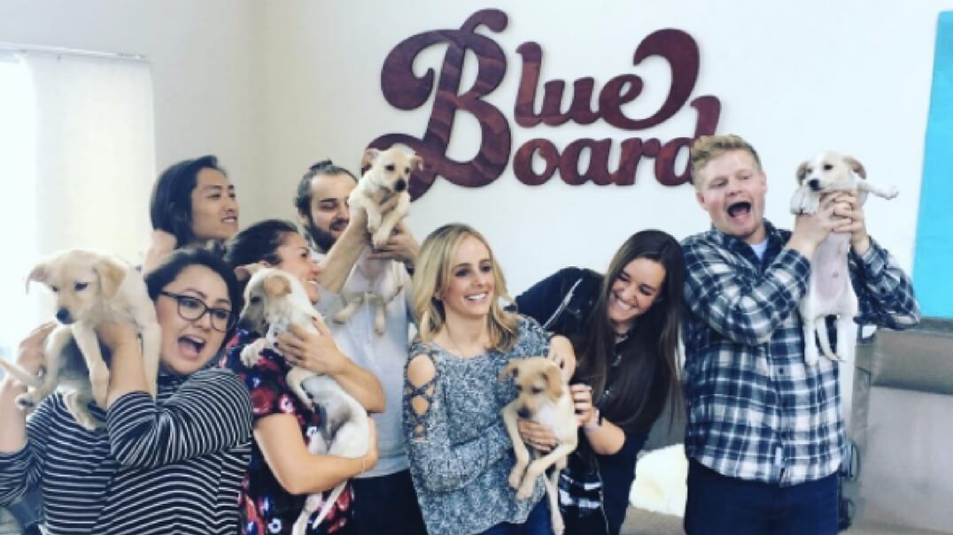 employees holding puppies.jpg